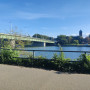 20250912_neckar_2.jpg